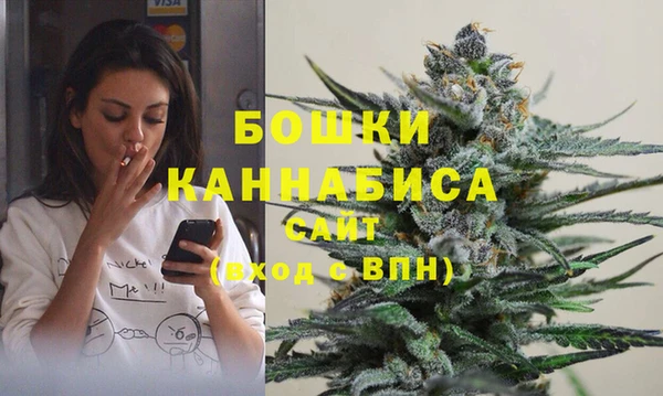 2c-b Богородск