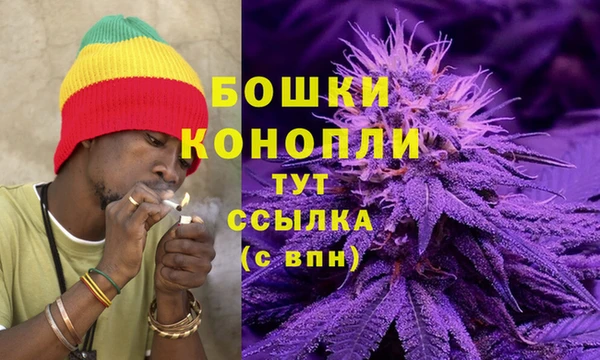 бошки Богородицк