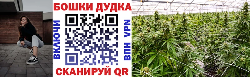 Марихуана гибрид  kraken маркетплейс  Острогожск 